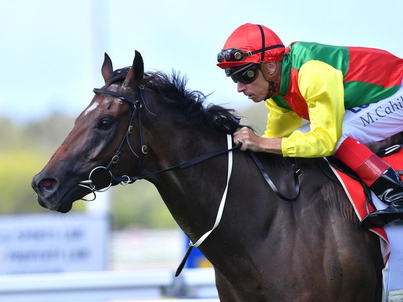 Gold Coast Preview | Just Horse Racing