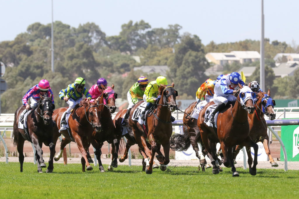Mr Quickie_02-03-2019_WIN_Flemington_5__942 | Just Horse Racing