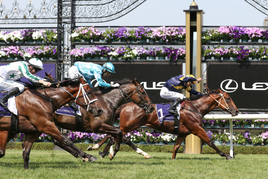 Outrageous_16-03-2019_WIN_Flemington_2__272 | Just Horse Racing