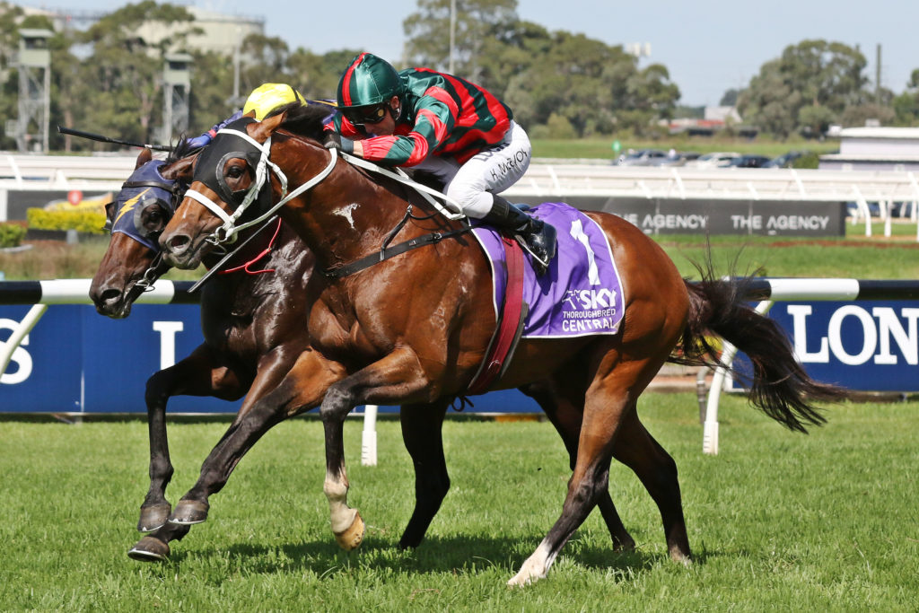 The Autumn Sun,Rosehill Guineas,Group 1_23-03-2019_WIN_Rosehill_4__568 | Just Horse Racing