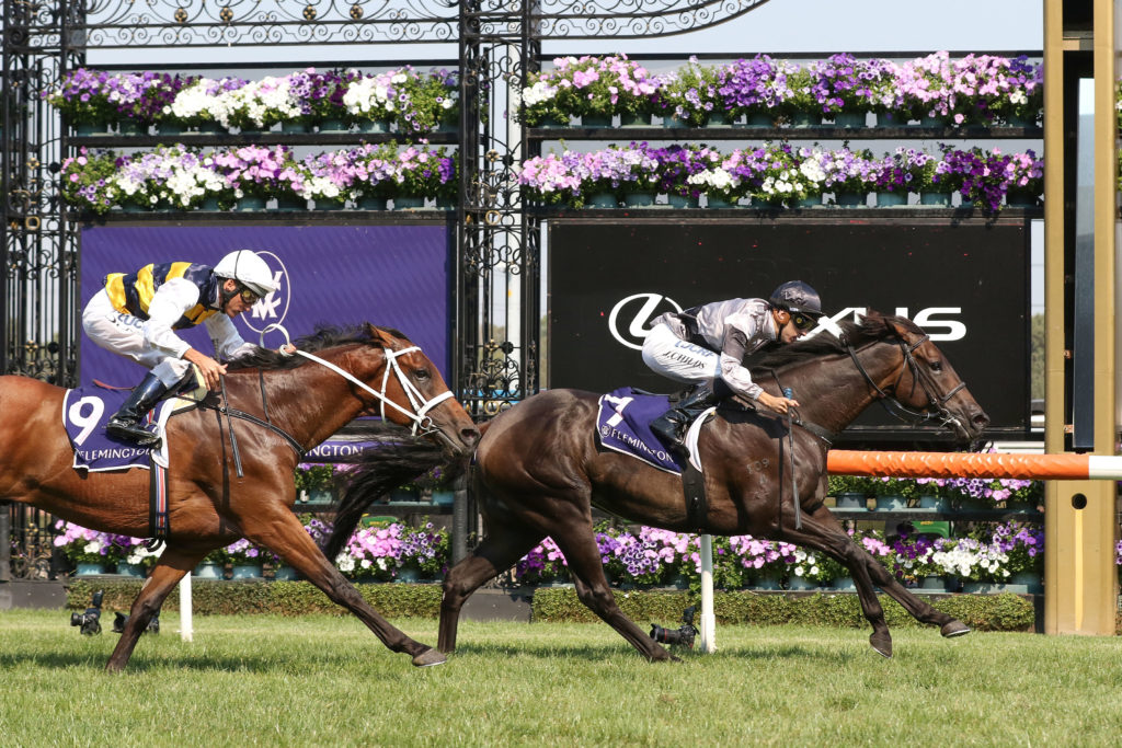 Wetakemanhattan_16-03-2019_WIN_Flemington_5__685 | Just Horse Racing