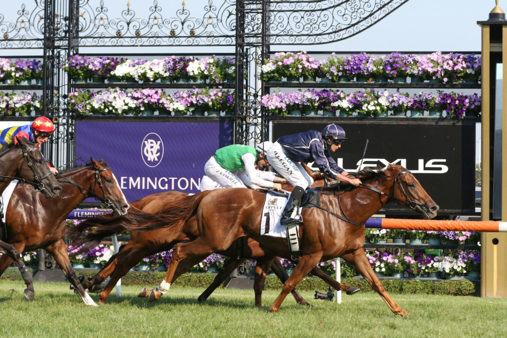 Widgee Turf_16-03-2019_WIN_Flemington_7__987 | Just Horse Racing