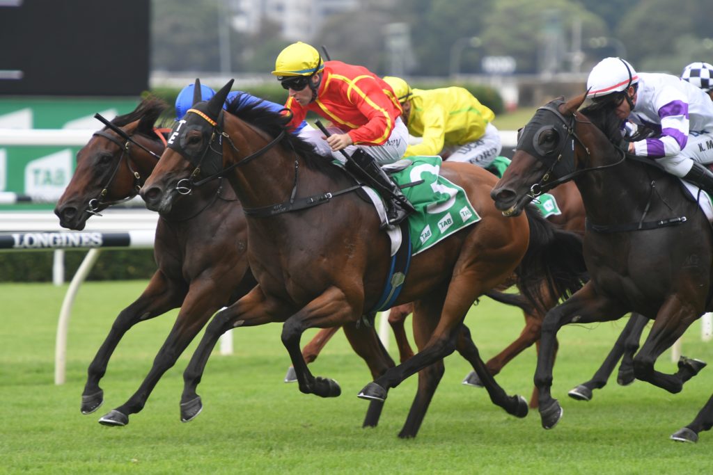 Winter Bride 090319 0951 | Just Horse Racing