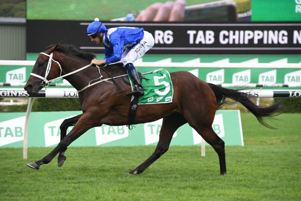 Winx 020319 9600 | Just Horse Racing