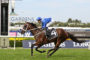 Winx,George Ryder Stakes,Group 1_23-03-2019_WIN_Rosehill_5__905 | Just Horse Racing