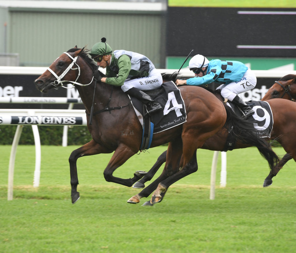 Yes Yes Yes 090319 1462 | Just Horse Racing