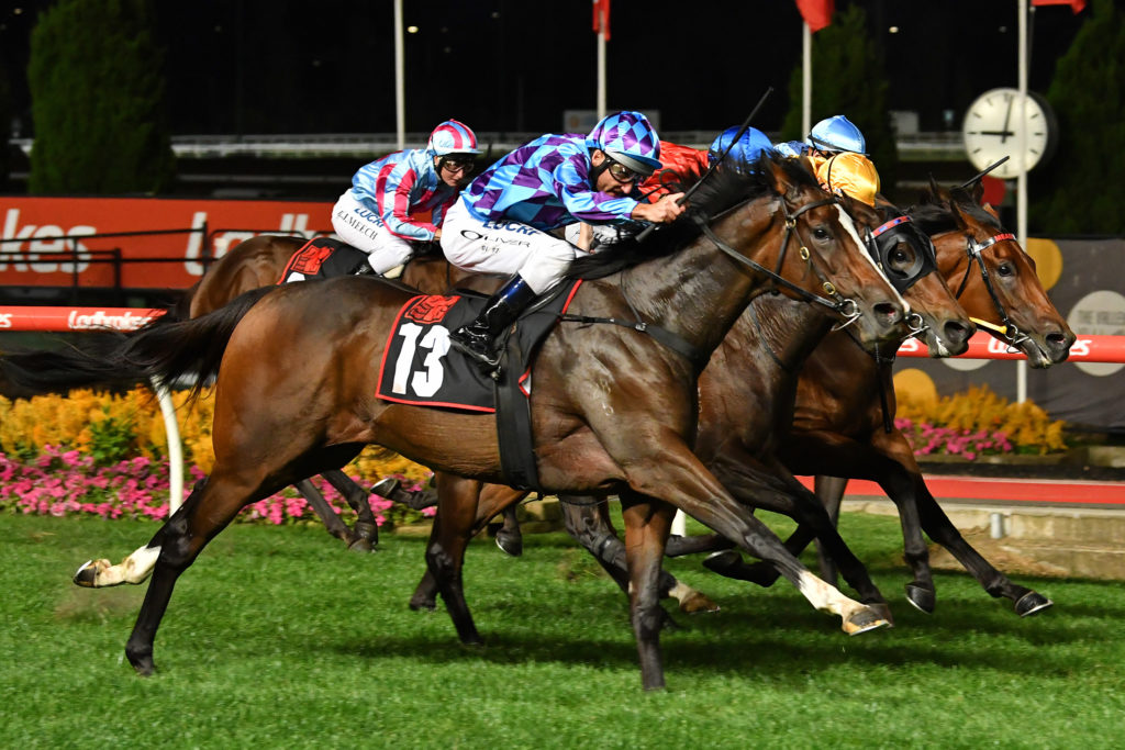 Princess Jenni | Just Horse Racing