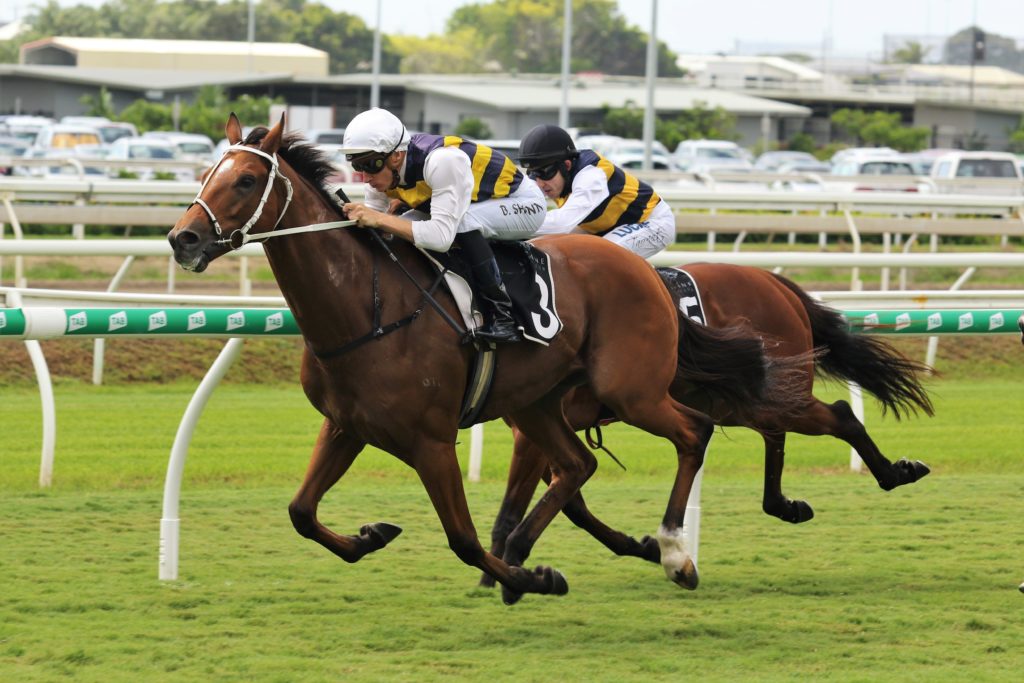 LE JUGE (Blake Shinn) - Trainer Chris Waller 062A5080 (2) | Just Horse Racing