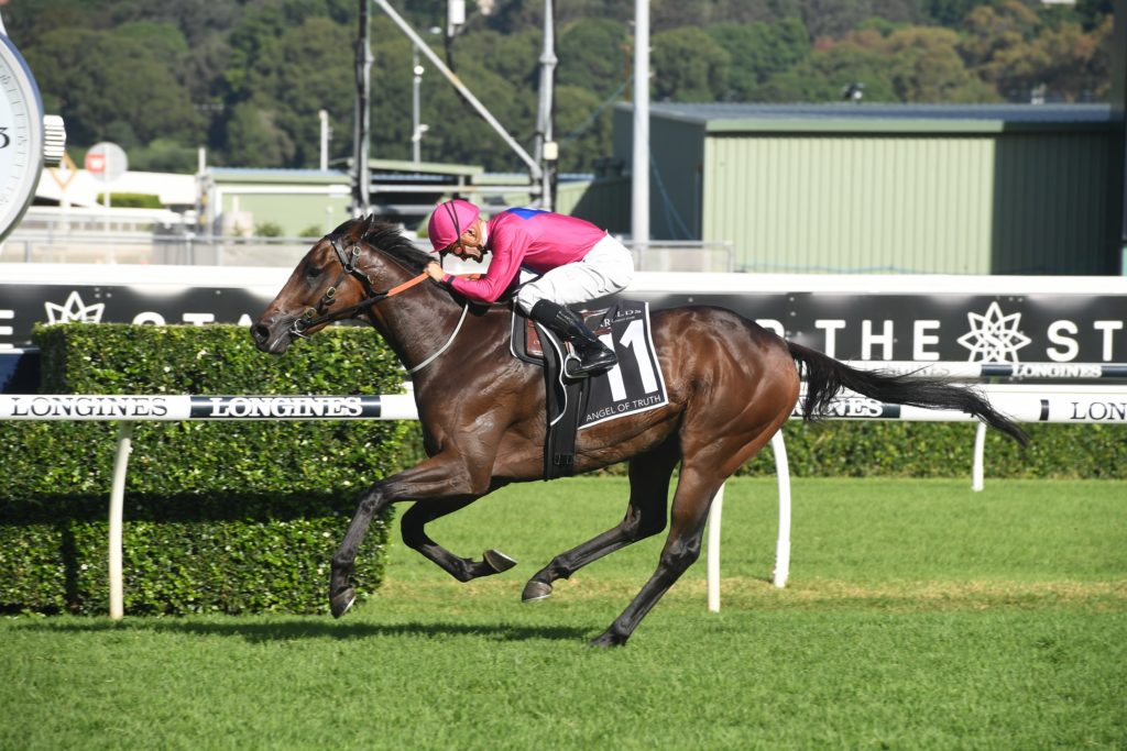 Angel Of Truth 060419 9381 | Just Horse Racing