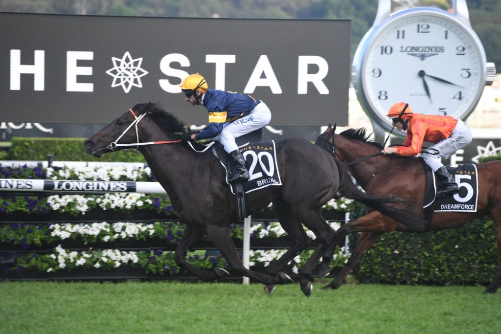 Brutal 060419 9910 | Just Horse Racing