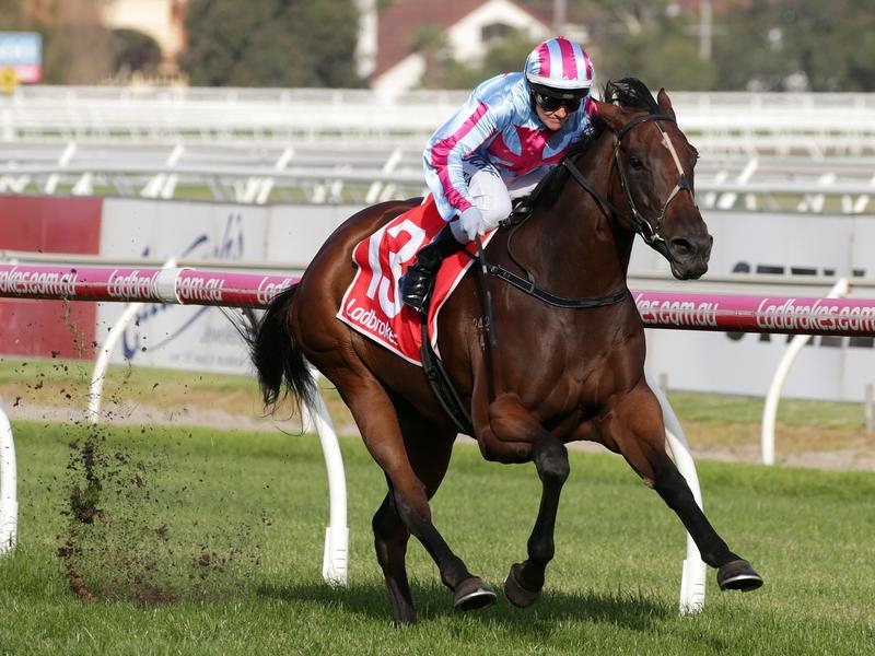 Caulfield | Just Horse Racing