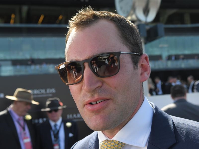 Caulfield Saccharo | Just Horse Racing