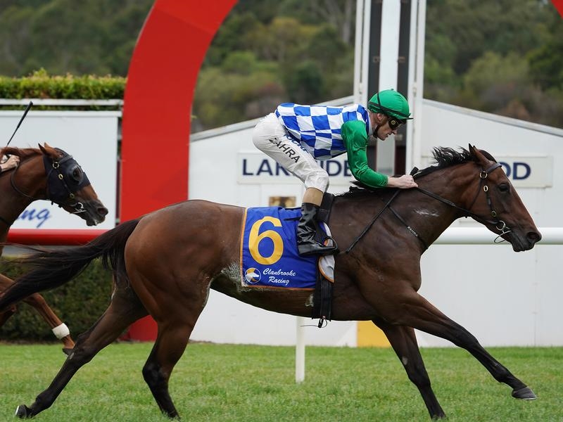 Caulfield Zargos | Just Horse Racing