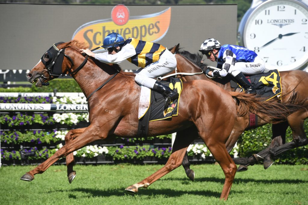 Gallic Chieftain 060419 8980 | Just Horse Racing