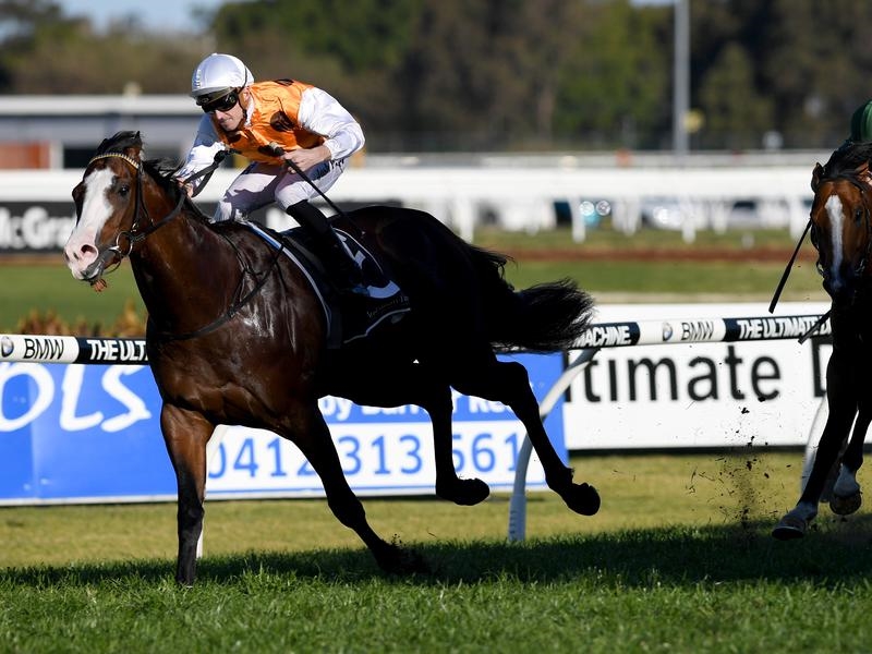 Gallops Randwick | Just Horse Racing