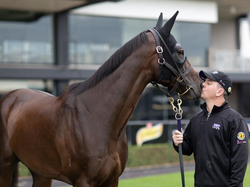 Gallops Winx | Just Horse Racing