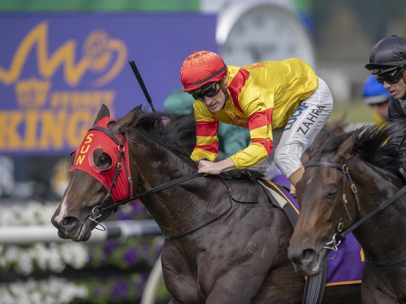 Gallops Zahra | Just Horse Racing