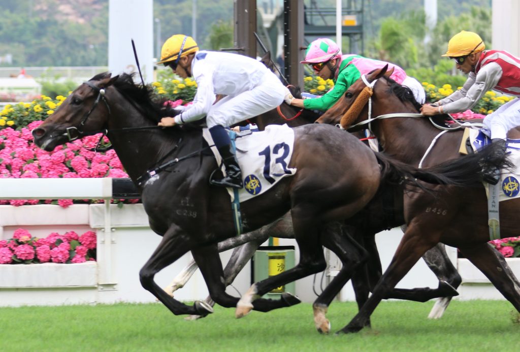 Golden Sixty | Just Horse Racing
