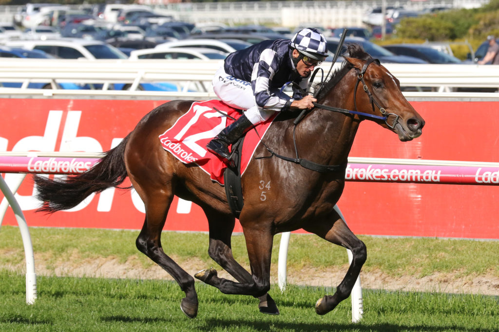 Grinzinger Star_20-04-2019_WIN_Caulfield_2__250 | Just Horse Racing