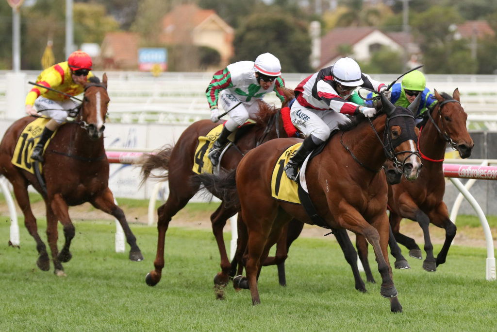 Halvorsen_27-04-2019_WIN_Caulfield_5__654 | Just Horse Racing