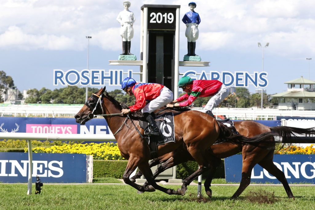 Invincible Gem,Emancipation Stakes,Group 2_30-03-2019_WIN_Rosehill_4__691 | Just Horse Racing