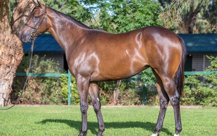 Winx relation sells for $750,000
