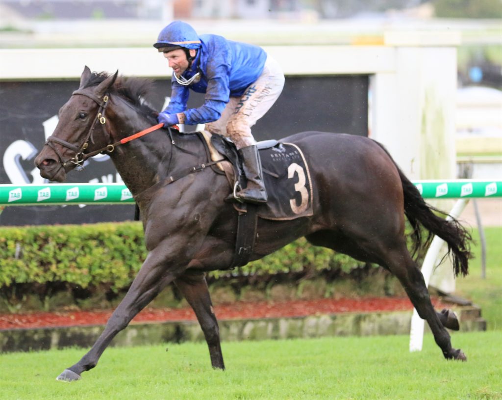 Plague Stone | Just Horse Racing