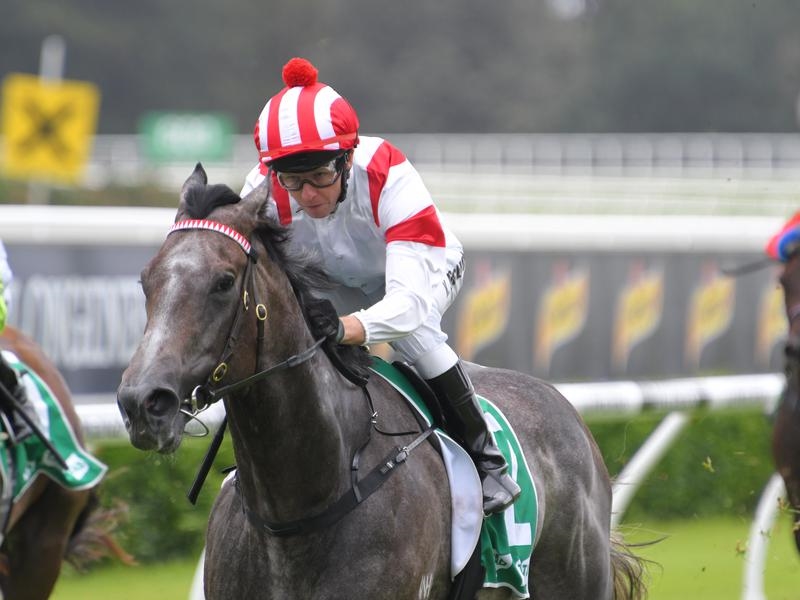 Randwick Classique | Just Horse Racing