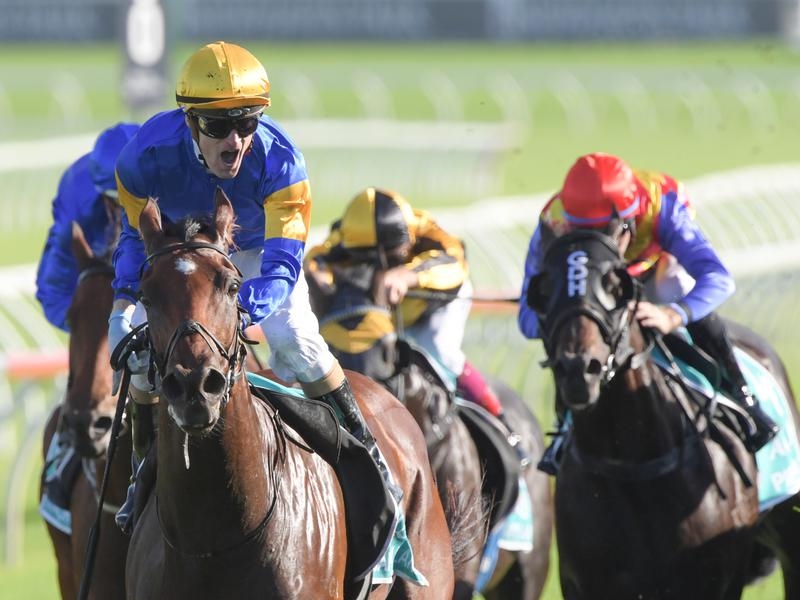 TJ Smith | Just Horse Racing