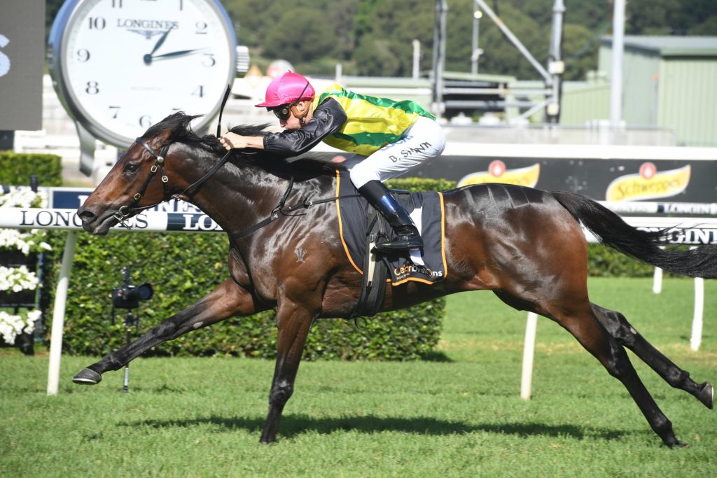 The Chosen One 200419 3704 | Just Horse Racing