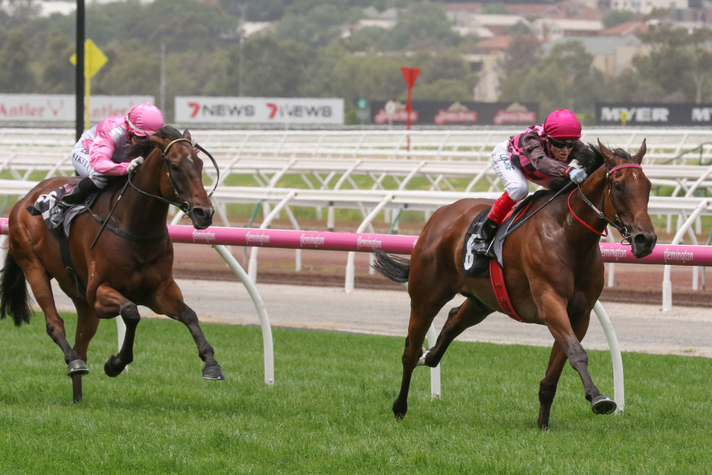 Willi Willi_20-01-2018_WIN_Flemington_1__47 | Just Horse Racing