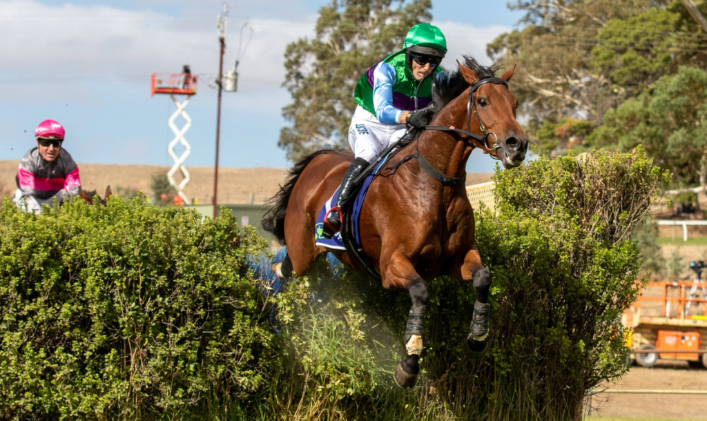 Zed Em | Just Horse Racing