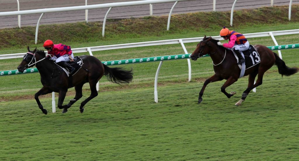 eagle farm race 1 - Devil's Temptation 2 | Just Horse Racing