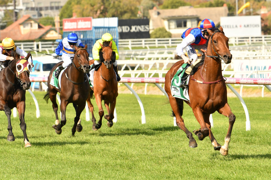 Steel Prince | Just Horse Racing