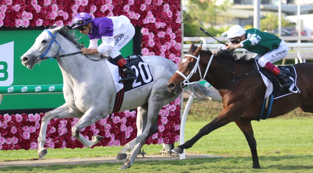 Candy Man (1) | Just Horse Racing