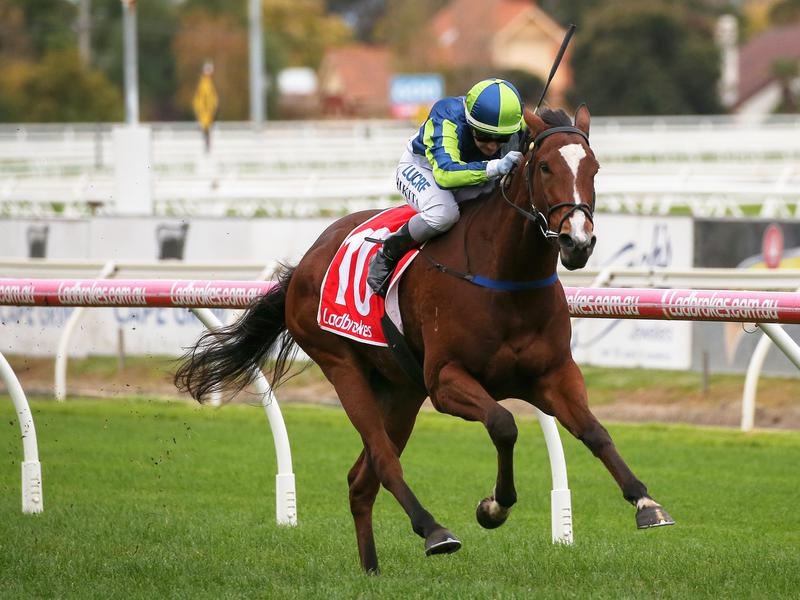 Caulfield Bams | Just Horse Racing