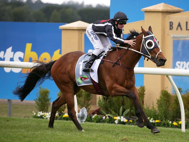 Caulfield Jungle | Just Horse Racing