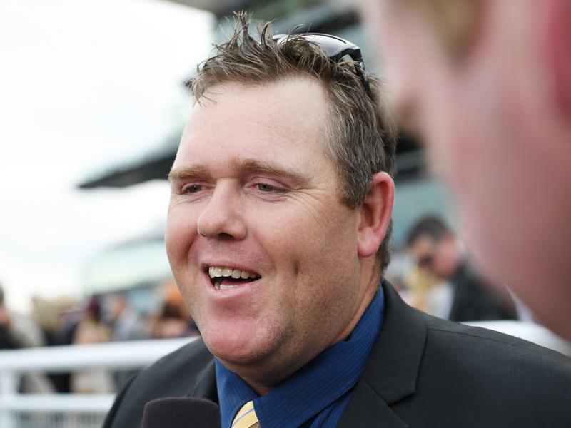 Cobalt NSW | Just Horse Racing