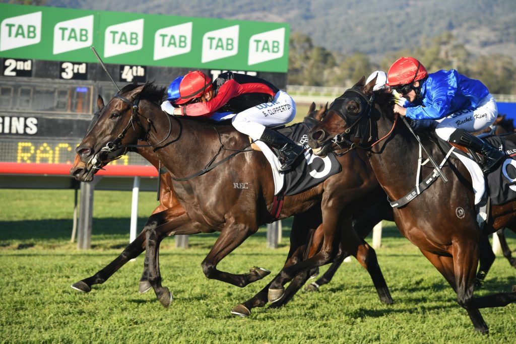 Con Te Partiro 110519 8768 | Just Horse Racing
