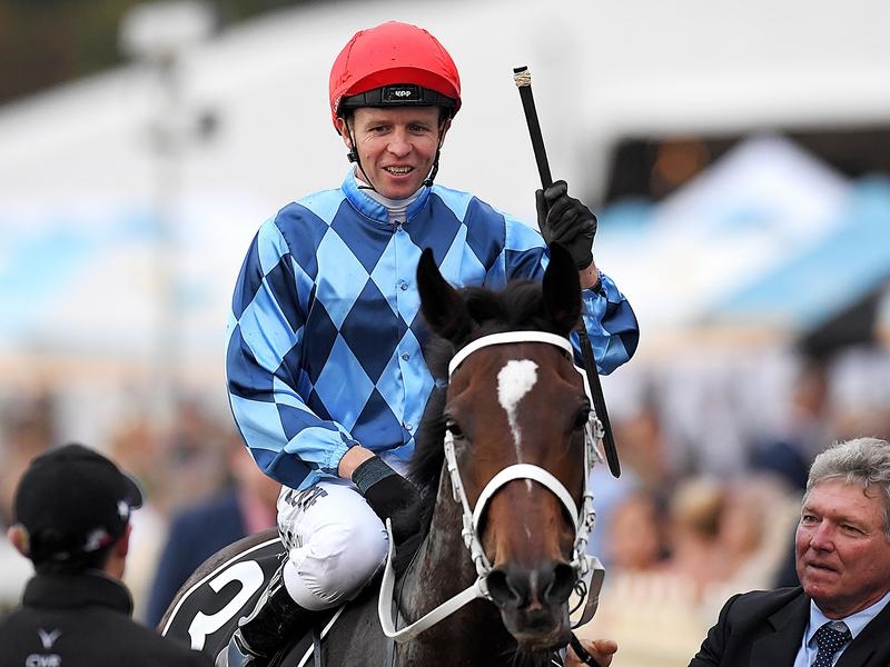 Doomben Cup | Just Horse Racing
