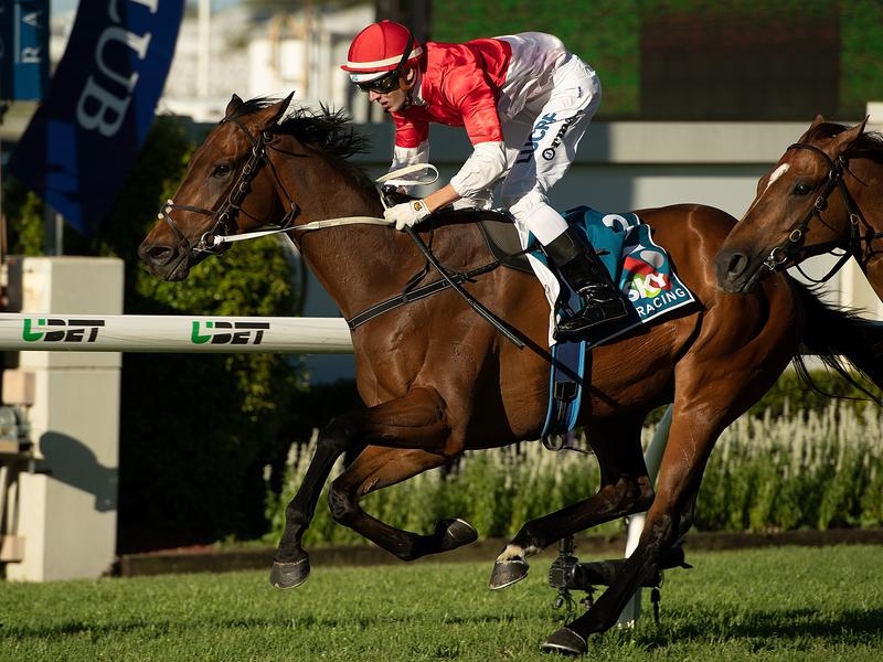 Doomben Niccanova | Just Horse Racing