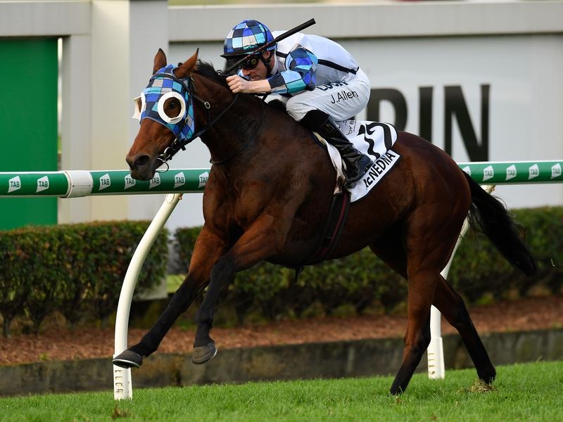 Doomben O'Shea | Just Horse Racing