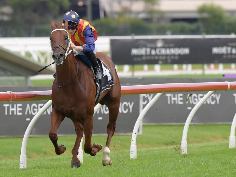 Doomben Preview | Just Horse Racing