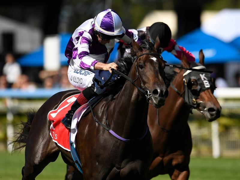 Doomben Troop | Just Horse Racing