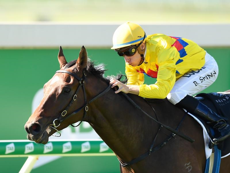 Doomben Vega | Just Horse Racing