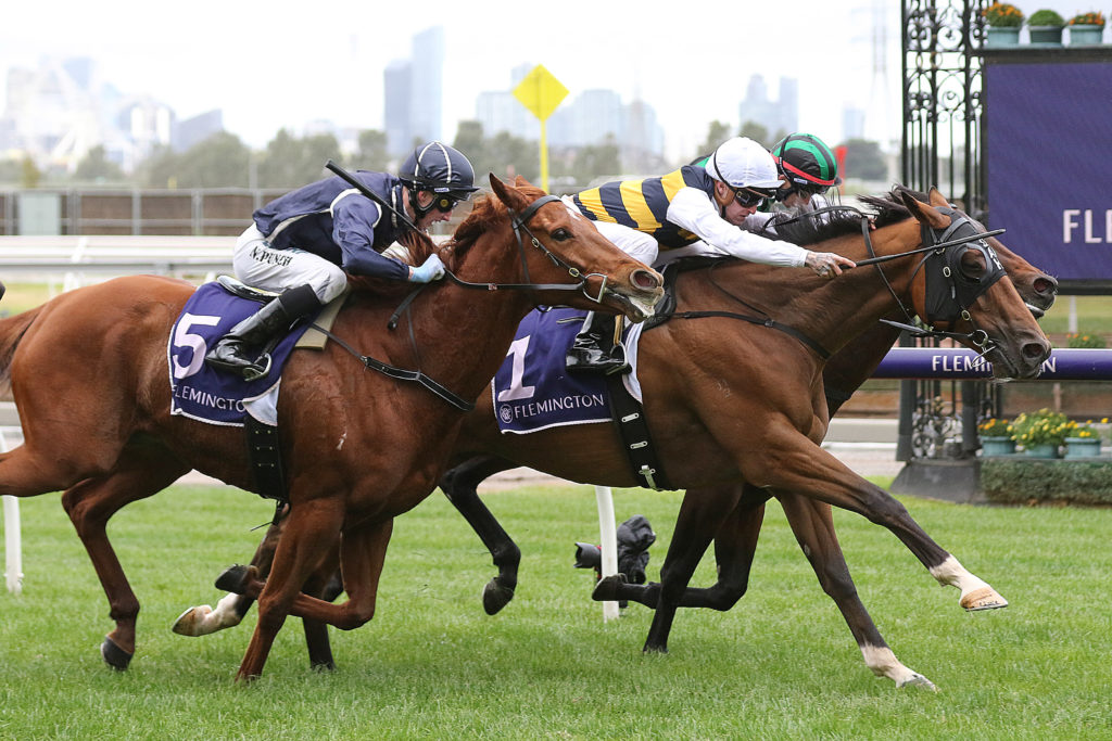 Fastnet Tempest_04-05-2019_WIN_Flemington_4__546 | Just Horse Racing