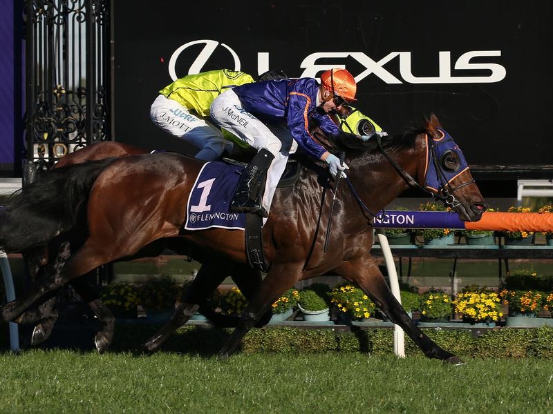 Flemington | Just Horse Racing
