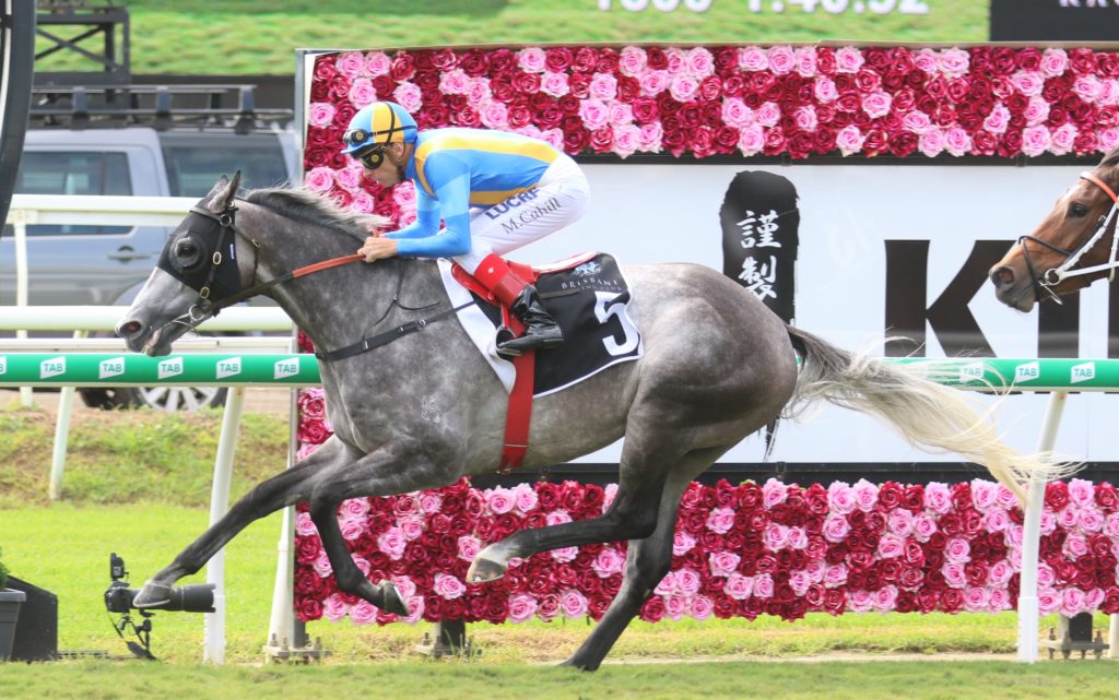 Fun Fact (2) | Just Horse Racing
