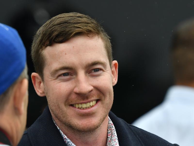 Gallops Currie | Just Horse Racing