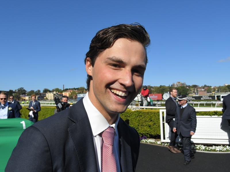 Gallops Freedman | Just Horse Racing